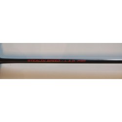 Bdminton racket 2021 New Stealt Speed